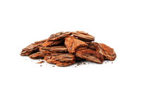 Cedar