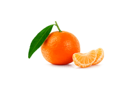 Mandarin Orange