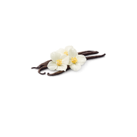 Vanilla