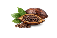 Cacao