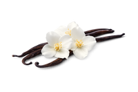 Vanilla