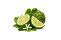 Bergamot