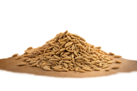 Cumin