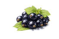 Black current