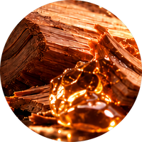 Woody Notes